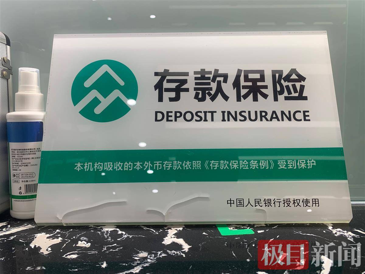 异地存款应确保银行加入了存款保险，极目新闻记者专访诺亚控股产品高级经理文静 行业动态 第2张